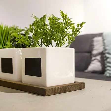 Atomic 2 Lägenhet Belgrad