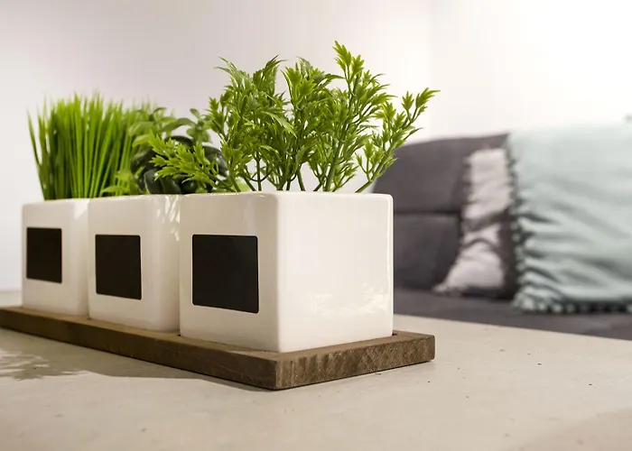 Atomic 2 アパート ベオグラード